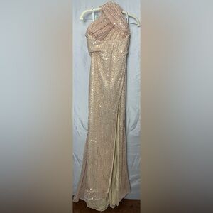 Beautiful Sequin Column Evening Dress in Champagne
